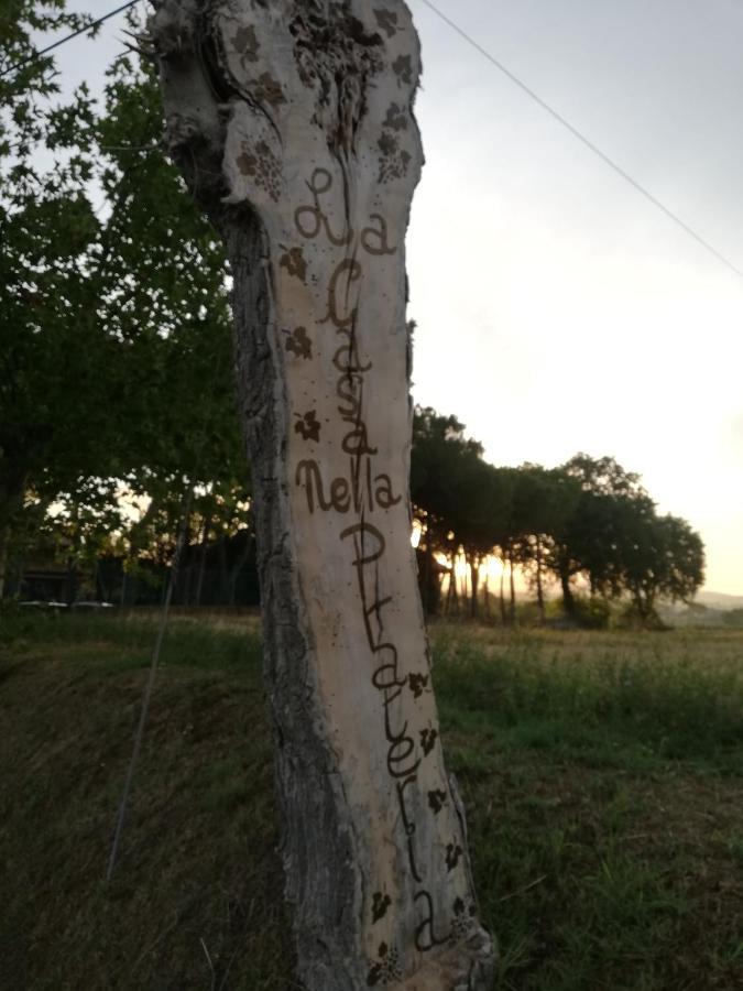 La Casa Nella Prateria Panzió Misano Adriatico Kültér fotó